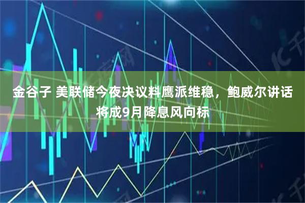 金谷子 美联储今夜决议料鹰派维稳，鲍威尔讲话将成9月降息风向标