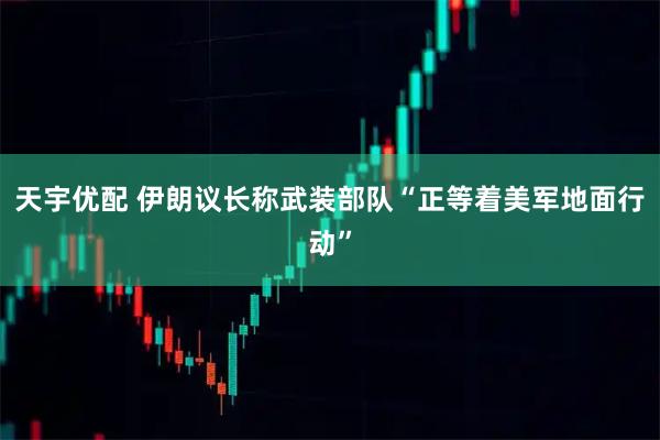 天宇优配 伊朗议长称武装部队“正等着美军地面行动”