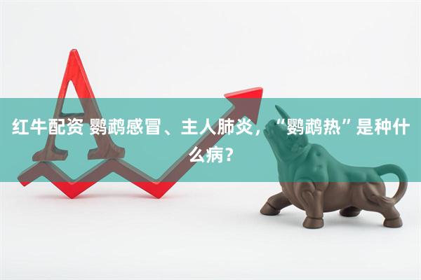 红牛配资 鹦鹉感冒、主人肺炎，“鹦鹉热”是种什么病？